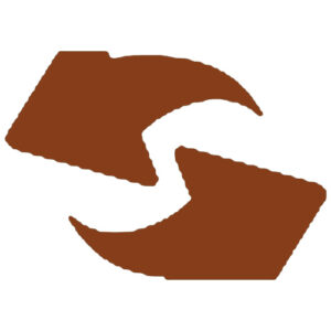 Giao hàng nhanh Icon
